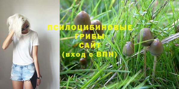 каннабис Новозыбков
